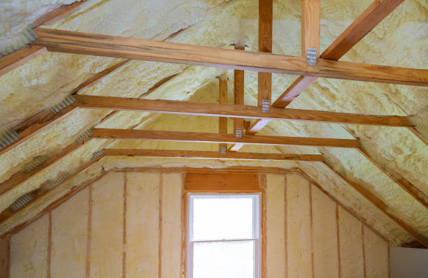 Best Eco-Friendly Insulation in Tawas City, MI
