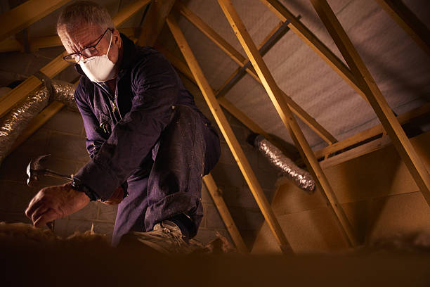 Best DIY Insulation Kits and Guidance in Tawas City, MI