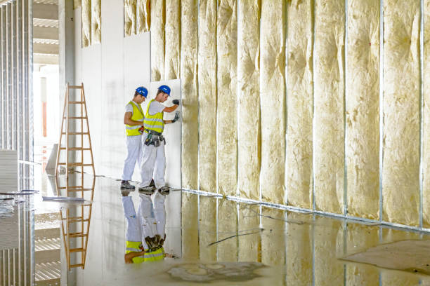 Best Specialized Insulation Services in Tawas City, MI